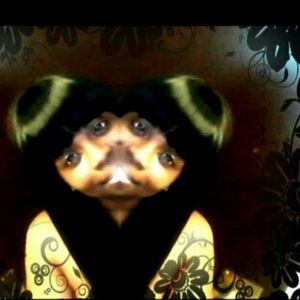 Meet your Posher, Roshena